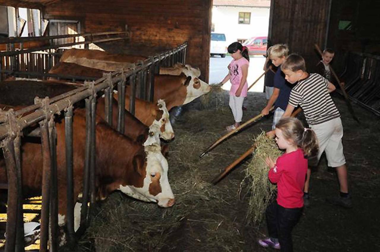 Exenbacher Hof Traumbauernhaus S'Haisl Arnbruck Exteriör bild